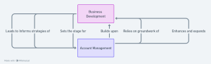 Business Development and Account Management - Voip Wholesale