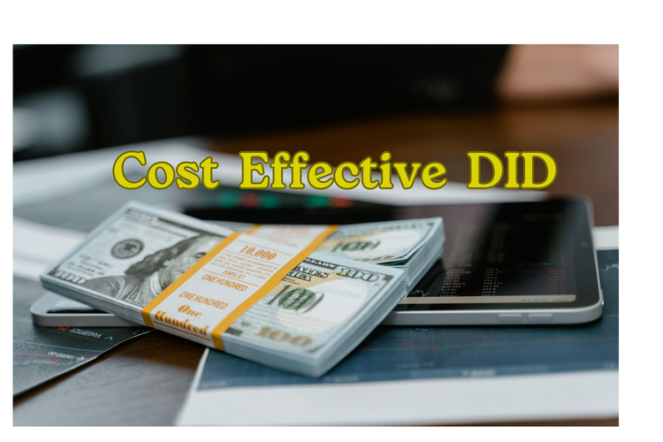Cost effective DID