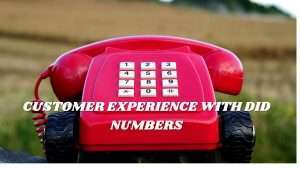 title image for the content customer experiences with did