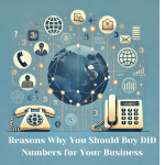 Reasons Why You Should Buy DID Numbers for Your Business_